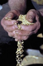 Grains in the hands of a farmer, Franconia, Bavaria, Germany