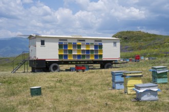 A colourful bee wagon surrounded by beehives is located in a green landscape under a cloudy sky,