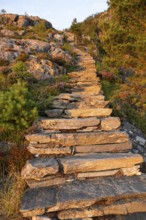 Section of the Rørsethornet Stone Staircase illuminated by warm evening light, with 3292 steps one