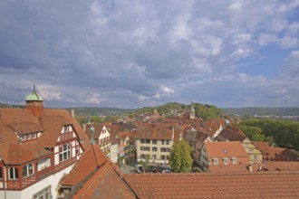 View from the castle to the cityscape with Villa Roigel - left, Tübingen, Neckartal,