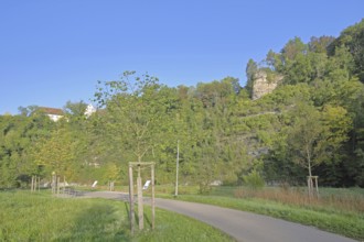 Rock Kapf with cross, rock formation, rock cliff, path, fruit trees, mountain, forest, landscape,