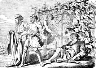 First Book of Genesis, chapter 9, Genesis, grape harvest, Noah drinks a lot of wine and falls
