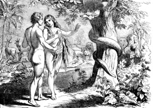 Genesis, chapter 3, Adam and Eve naked in paradise, snake in the tree, animal world, river, nature,