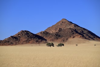 Landscape on the Kanaan farm of the nature conservation organisation Naankuse, Tirasberge, Karas