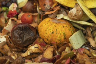 Compost pile made of organic food, leaves, vegetable and fruit Waste mix, Zero waste and Eco