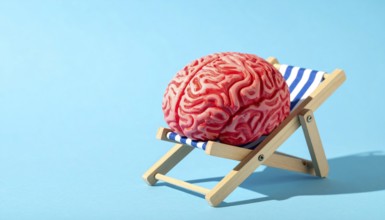 Brain relaxes on a sunbed under the summer sun, placed on a flat surface, symbol for mental health,