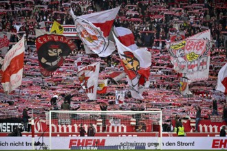 VfB Stuttgart, Cannstatter Kurve, fan block, fans, fan curve, flags, flags, atmosphere, atmospheric