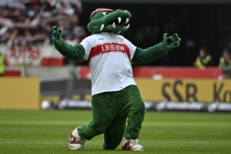Mascot Fritzle VfB Stuttgart reading out the line-up, MHPArena, MHP Arena Stuttgart,