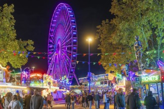Lively scenery with colourful lights and a large Ferris wheel, Cannstatter Wasen folk festival,