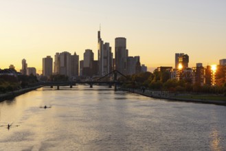 The trees on the banks of the River Main glow with autumnal colour in the light of the evening sun,
