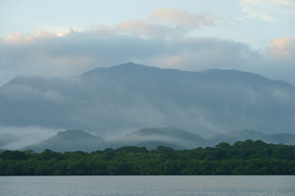 Atlantic Rainforest Coast, Brazil