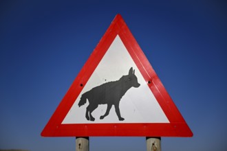 Sign warning of brown hyenas or beach wolves (Parahyaena brunnea) near Lüderitz, Karas Region,