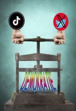 Symbolic image, asocial networks, X-Twitter, Elon Musk, TikTok, false reports, freedom,