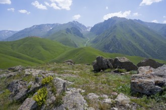 Green hills and mountains with flowers and rocks under a clear blue sky, at the highest pass in