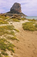 Plants, flowers, nature park, Penon de Ifach rock, landmark, Mediterranean, bay, Calpe, Valencia,