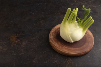 Fresh Fennel bulb on wooden cutting board on black concrete background, side view, copy space,
