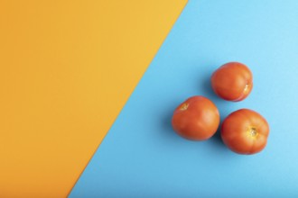 Red tomato on blue and orange pastel paper background. Top view, flat lay, copy space. healthy