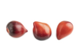 Red Heart shape tomatoes isolated on white background. Side view, copy space, healthy food,