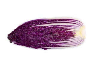 Purple Chinese cabbage isolated on white background, top view, flat lay, close up, minimalism