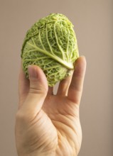 Green lettuce with hand on beige pastel paper background. Side view, copy space, flat lay. healthy