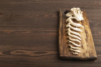 Raw Oyster mushroom, Pleurotus ostreatus on cutting board on brown wooden background. Side view,