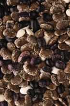 Kidney beans texture, top view, flat lay, minimalism, close up
