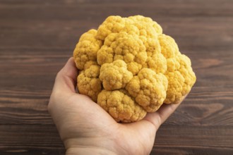 Yellow Cauliflower with hand on brown wooden background. Side view, close up. healthy food,