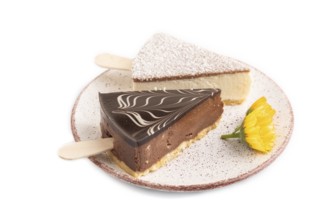 Chocolate and Vanilla Cake pops Marshmallow isolated on white background. side view, close up