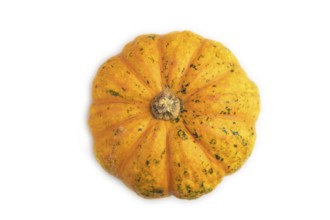 Orange Pumpkin isolated on white background. Top view, flat lay. healthy food, vegetable,