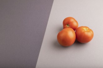Red tomato on black and gray pastel paper background. Side view, copy space. healthy food,
