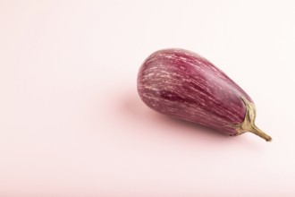 Purple eggplant with white stripes on pink pastel background. Side view, copy space. Tropical,