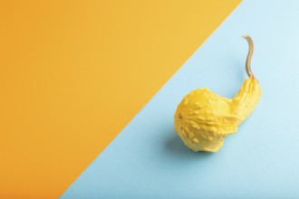 Decorative orange Pumpkin on blue and orange pastel paper background, side view, copy space,