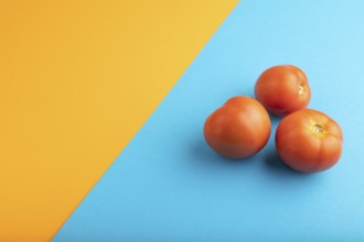 Red tomato on blue and orange pastel paper background. Side view, copy space. healthy food,