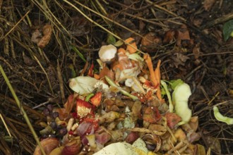 Compost pile made of organic food, leaves, vegetable and fruit Waste mix, Zero waste and Eco