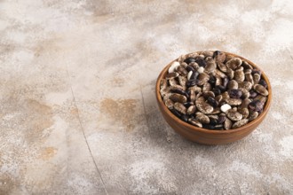 Wooden bowl with Kidney beans on brown concrete background, side view, copy space, minimalism