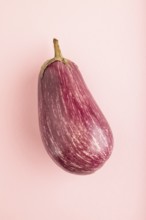 Purple eggplant with white stripes on pink pastel background. Top view, flat lay, copy space.