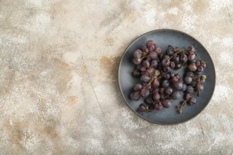 Bunches of rotten and Dry Red wine grapes on blue plate on brown concrete background, harvest,