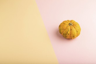Orange Pumpkin on orange and pink pastel paper background. Side view, copy space. healthy food,