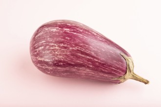 Purple eggplant with white stripes on pink pastel background. Side view, copy space. Tropical,