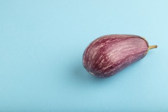 Purple eggplant with white stripes on blue pastel background. Side view, copy space. Tropical,