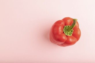 Red pepper on pink pastel background. Top view, flat lay, copy space. healthy food, vegetable,