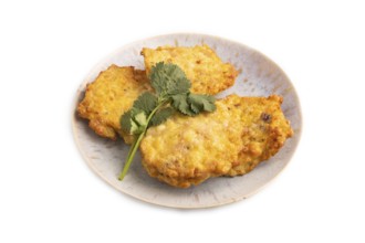 Fried crispy Chicken pancakes isolated on white background. side view, close up