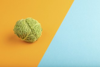 Green lettuce on blue and orange pastel paper background. Side view, copy space. healthy food,