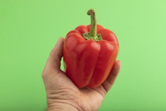 Hand holding Red pepper on green pastel background. Side view, copy space. healthy food, vegetable,
