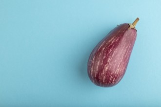 Purple eggplant with white stripes on blue pastel background. Top view, flat lay, copy space.