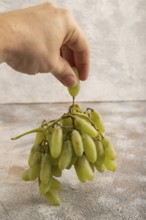 Green grapes on gray concrete background. Side view, close up. healthy food, minimalism
