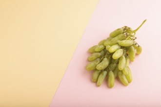 Green grapes on orange and pink paper pastel background. Side view, copy space. healthy food,