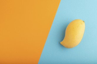 Orange mango on orange and blue paper pastel background. Top view, flat lay, copy space. healthy