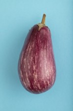 Purple eggplant with white stripes on blue pastel background. Top view, flat lay, copy space.