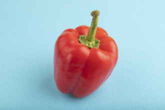 Red pepper on blue pastel background. Side view, copy space. healthy food, vegetable, minimalism